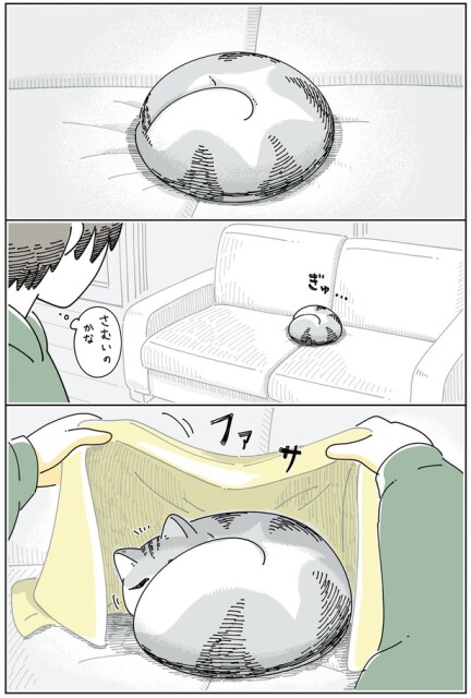 寒いのかな？