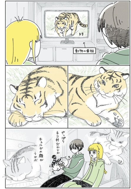 動物の番組を見ていると