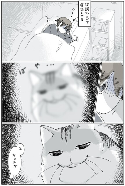 体調不良の飼い主の横に