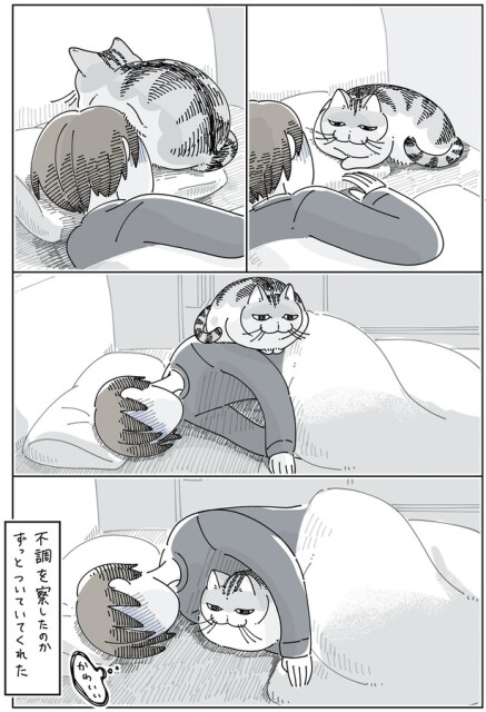 飼い主の不調を察してくれたのか