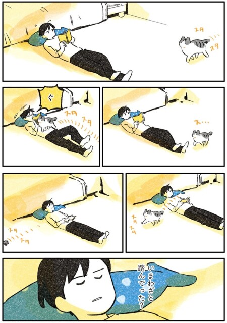 いまわざと踏んでった？