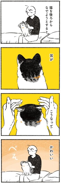猫を後ろからなでようとすると
