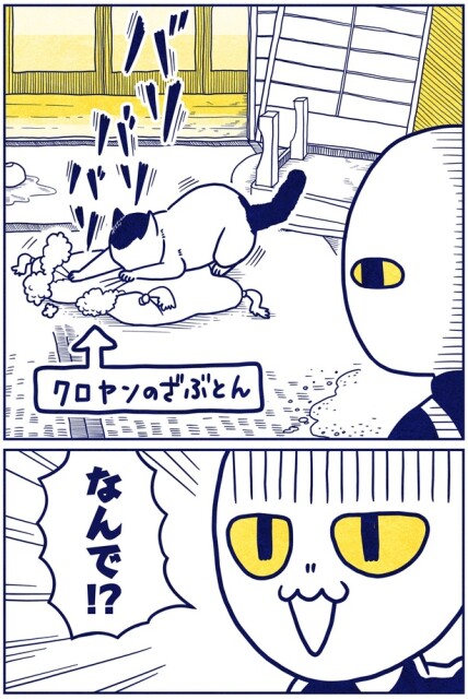 なんで！？