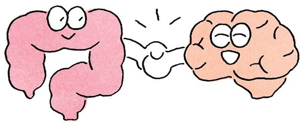 腸は第２の脳！