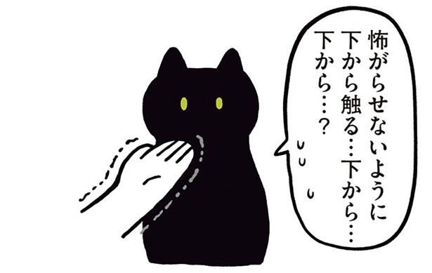 怖がらせないように下から触る…