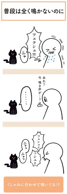 あれ？　今鳴き声が…？