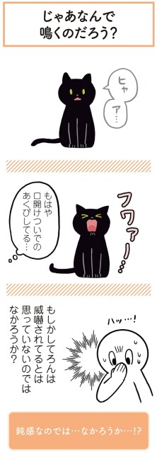 もはや口開けついでのあくびしてる…
