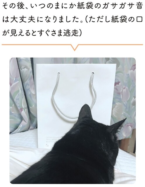その後、いつのまにか紙袋のガサガサ音は大丈夫になりました