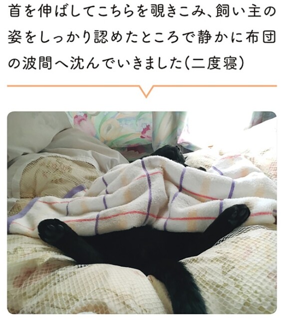 二度寝