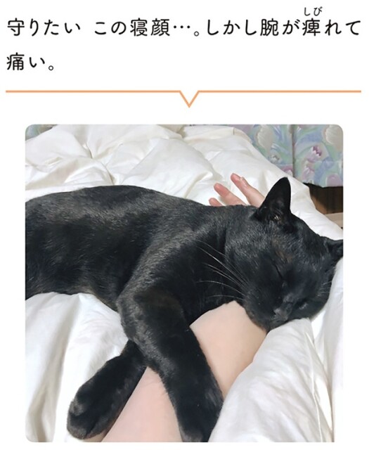 守りたい　この寝顔…