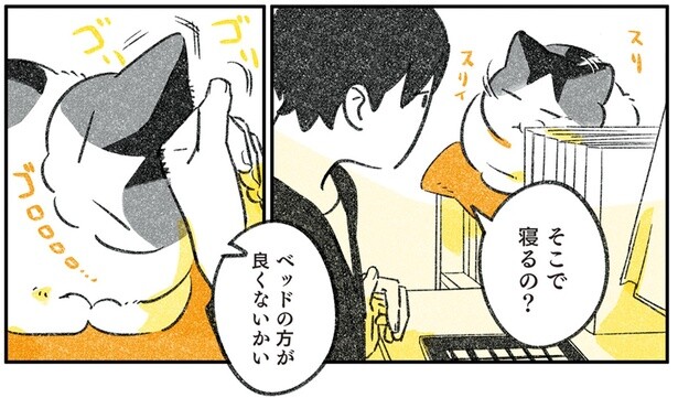 そこで寝るの？
