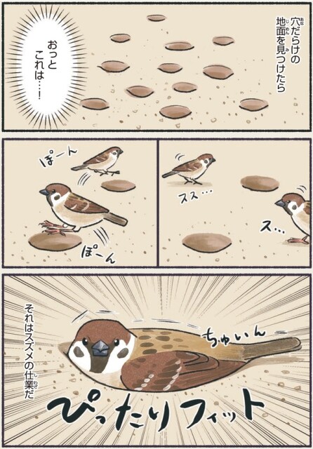 穴だらけの地面