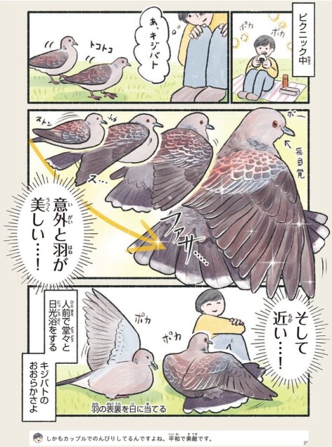堂々と日光浴