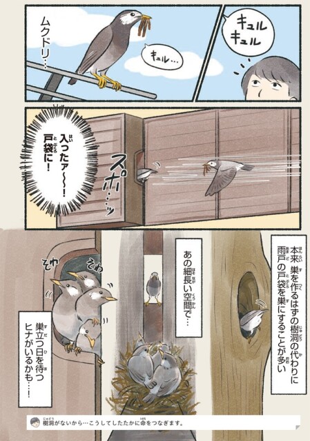 ムクドリ…