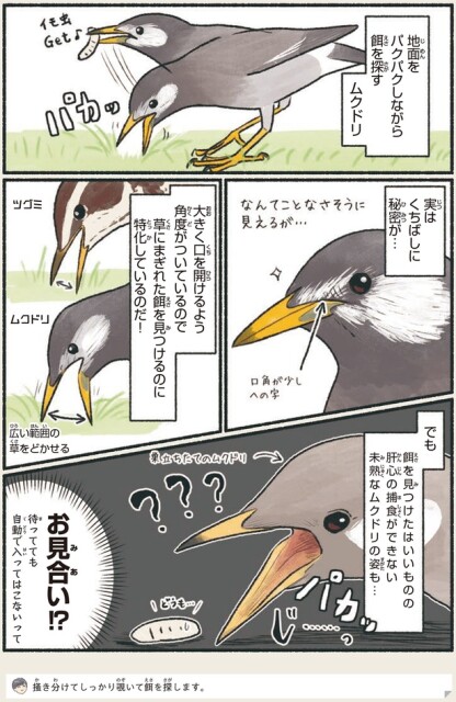 お見合い！？