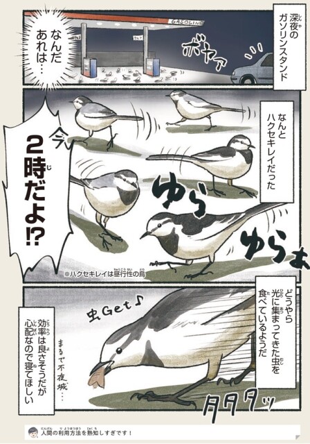 なんだあれは…