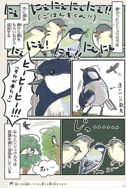 タカが来た！！