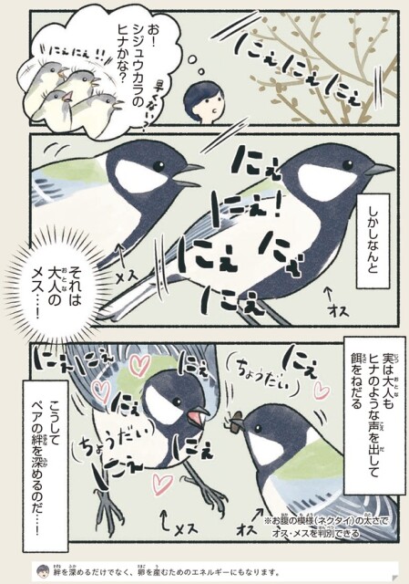 ペアの絆を深めるのだ…！