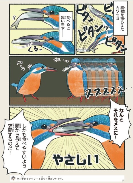 やさしい