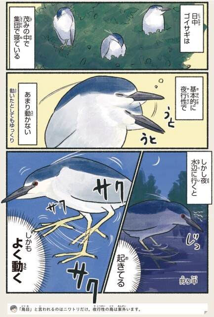 茂みの中で集団で寝ている