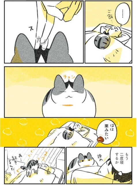 栗みたい