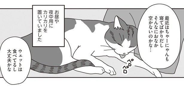 そんなにおなか空かないのかな…