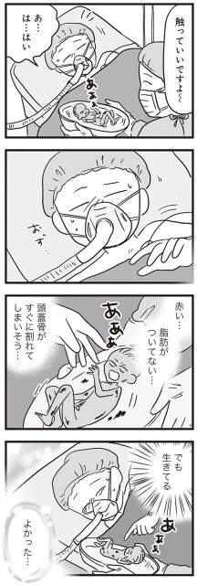 触っていいですよ～