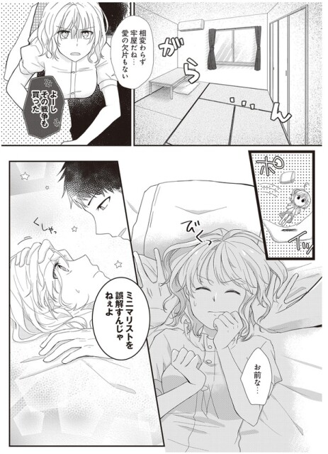 ミニマリストを誤解するんじゃねぇよ