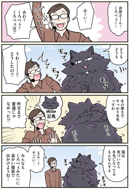 冬の寒さですっかり冬毛っすわ