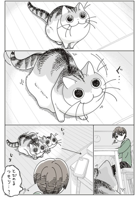 とびのるつもり…？