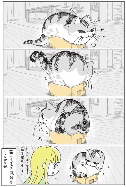 箱のサイズを見誤る