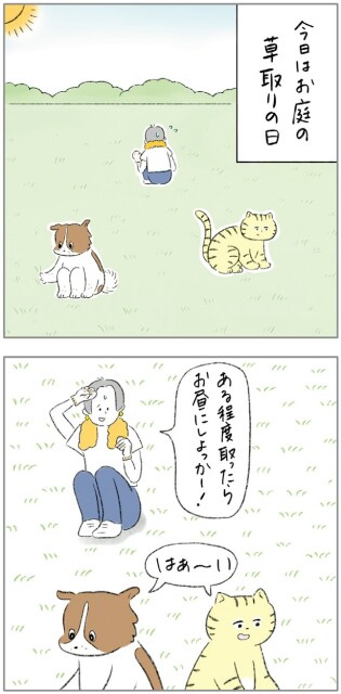 今日はお庭の草取りの日