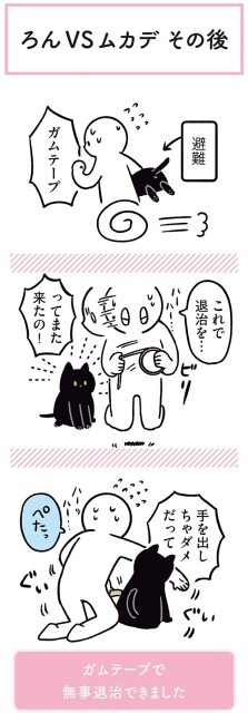 これで退治を…