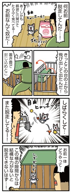 一体どうやって…