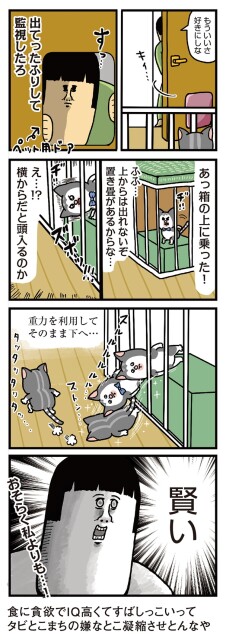 監視したろ
