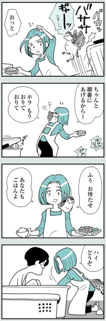 あなたもごはんよ