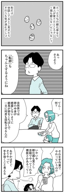 「転卵」もちゃんとするようにね