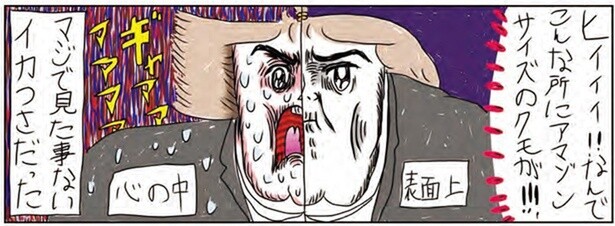 アマゾンサイズのクモが！！！