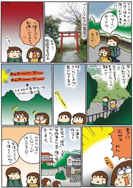 時々きいたことのない鳥のなき声が