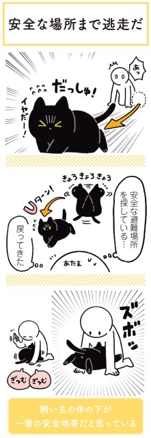 安全な避難場所を探している…