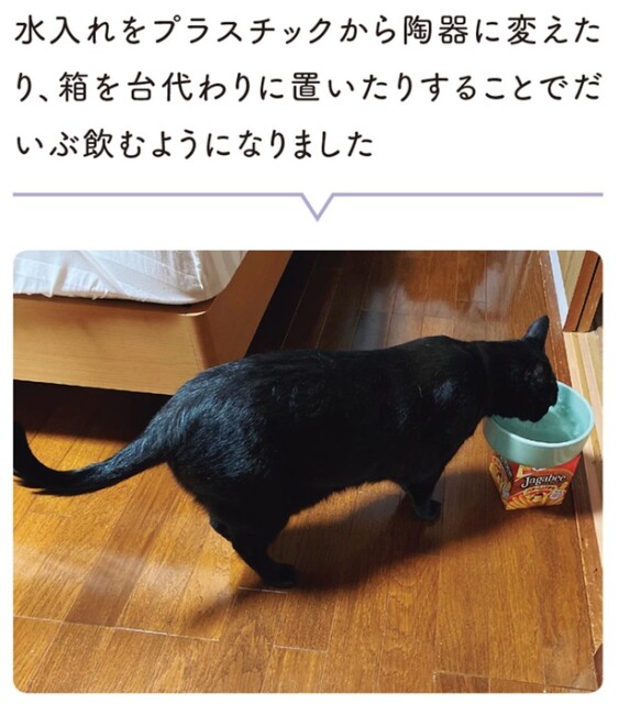 だいぶ飲むようになりました