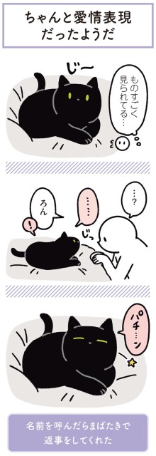 ものすごく見られてる…
