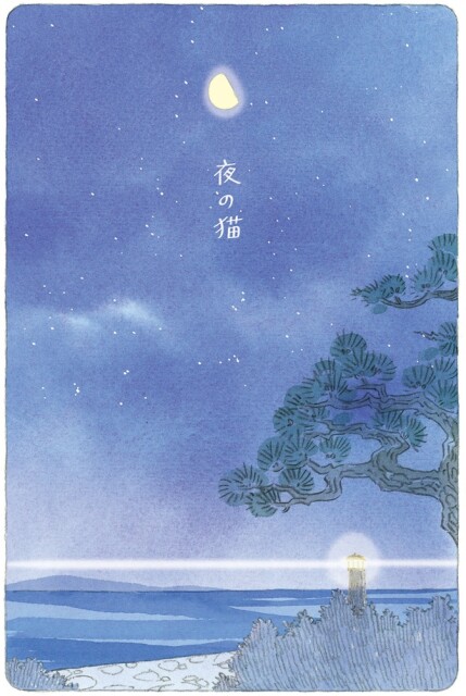 夜の猫