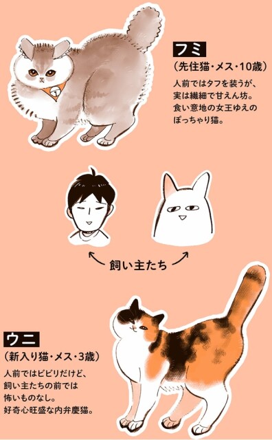 フミとウニと飼い主たち