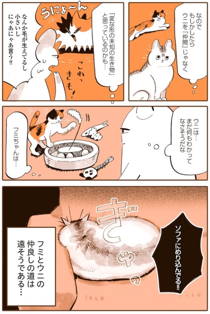 まだ何もわかってなさそうだな
