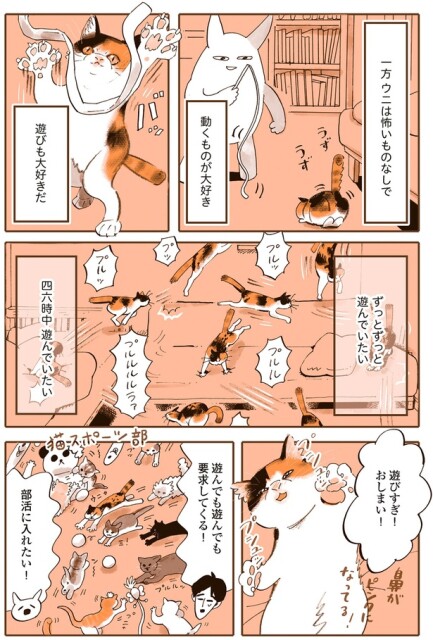 ウニは怖いものなし