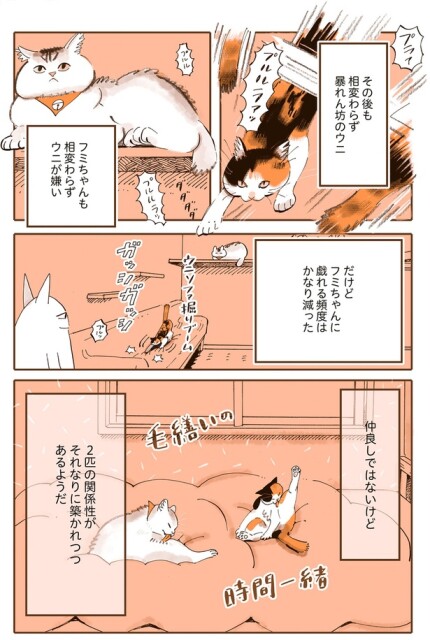仲良しではないけど
