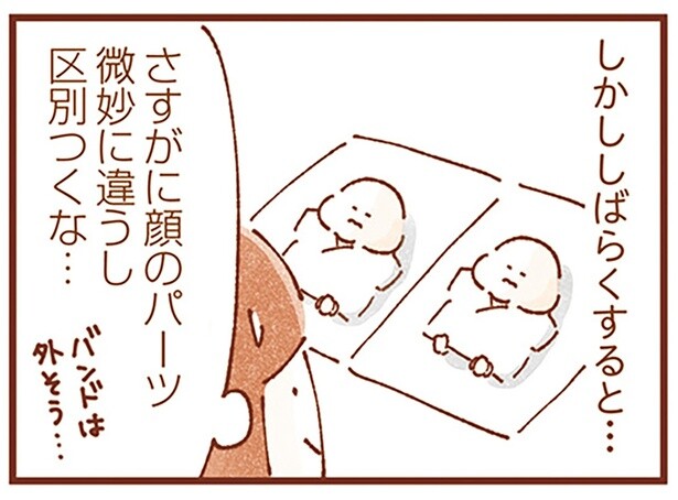 さすがに区別つくな…