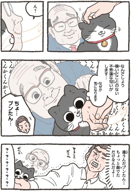 なぜか気になります