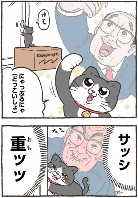 にゃっぷるにゃ（どっこいしょ）